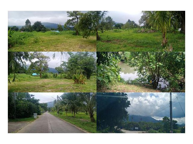 !!!ที่ดินพื้นที่สูงกว่าระดับน้ำทะเล 300 เมตร ปลอดภัยจากน้ำไม่ท่วม สามารถแบ่งขาย 10 ไร่ขึ้นไปได้!!! เสนอขายที่ดินสวนผลไม้