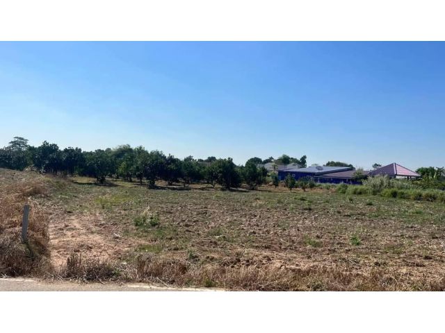 L1374 ขายที่ดินใกล้ถนน.331 ยกแปลง/แบ่งขาย เริ่มต้น 230 ตรว - 1 ไร่ พนัสนิคม ชลบุรี