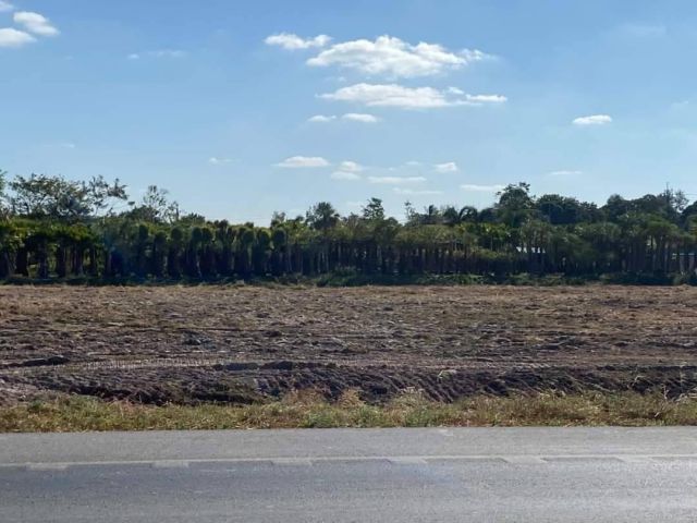 L1375 ขายที่ดินทำเลดี 30 ไร่ ติดถนนสุวรรณศร 259 เมตร เมืองปราจีนบุรี