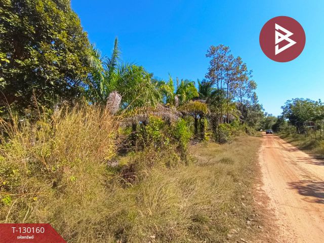 ขายที่ดินพร้อมสวน เนื้อที่ 7 ไร่ 3 งาน 26.9 ตร.วา วิศิษฐ์ บึงกาฬ