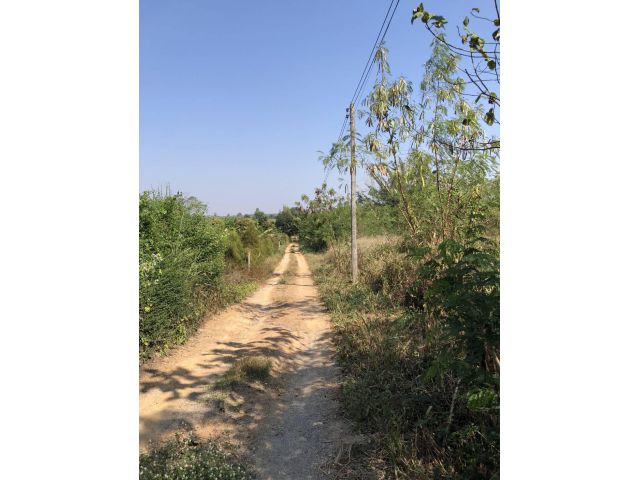 ขายที่ดิน  2 ไร่