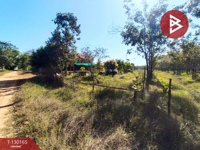 ขายที่ดินพร้อมสวน เนื้อที่ 13 ไร่ 2 งาน 12 ตร.วา วิศิษฐ์ บึงกาฬ