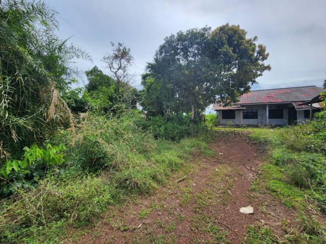 L1377 ขายที่ดินใกล้อบต.หัวหว้า 4 ไร่ หน้ากว้าง 172 เมตร ศรีมหาโพธิ ปราจีนบุรี