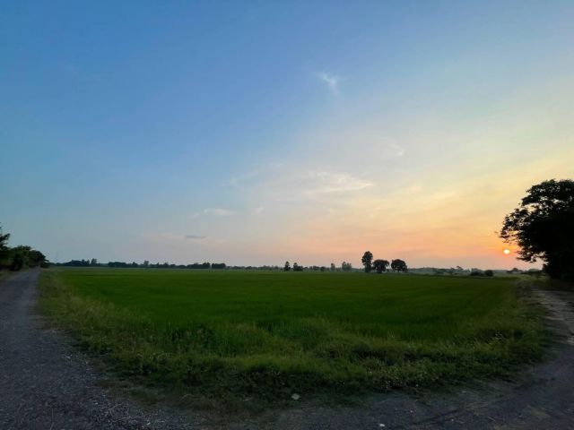 L1378 ขายที่นา 5 ไร่ อินทร์บุรี สิงห์บุรี