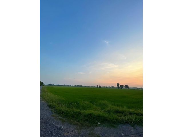 L1379 ขายที่นา 5 ไร่ อินทร์บุรี สิงห์บุรี