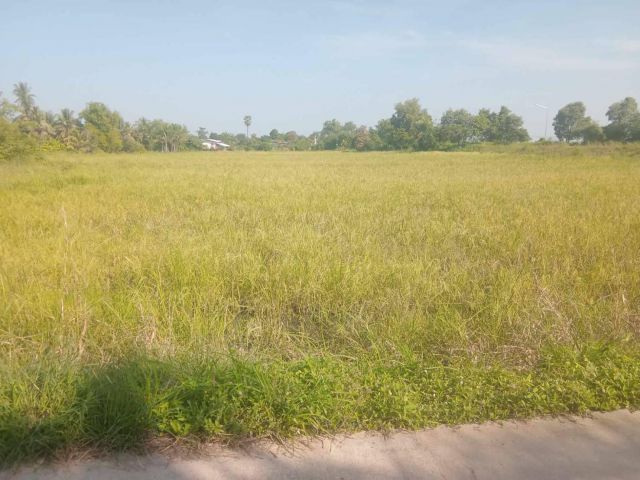 L1380 ขายที่ดินสวยทำเลดี 9 ไร่ หน้ากว้าง 236 เมตร บางระจัน สิงห์บุรี