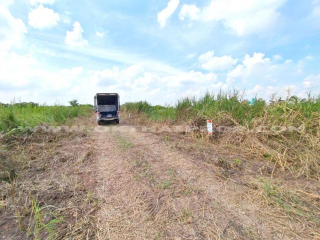 ที่ดินจัดสรรล็อคที่ 19 ถ.346 ต.หน้าไม้ อ.ลาดหลุมแก้ว จ.ปทุมธานี