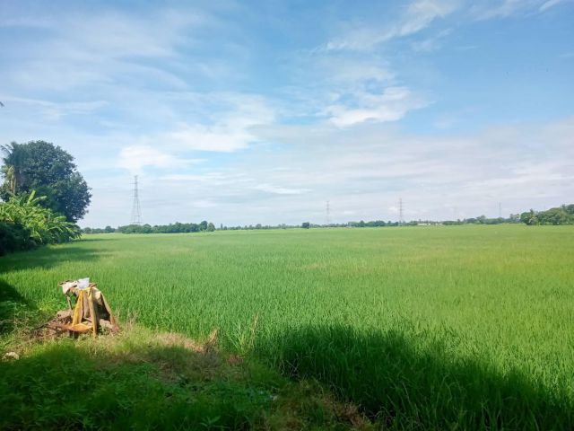L1382 ขายที่นาทำเลดี 4 ไร่ อินทร์บุรี สิงห์บุรี