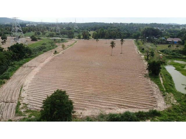 L1383 ขายที่ดินวิวภูเขา 11 ไร่ หน้ากว้าง 131 เมตร ศรีราชา ชลบุรี