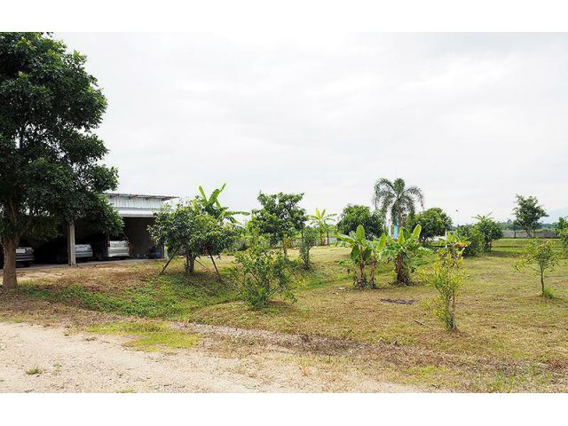 ขายที่ดินพร้อมสิ่งปลูกสร้าง ติดถนน 4 เลน เลี่ยงเมืองสันกำแพง ***เจ้าของขายเอง***