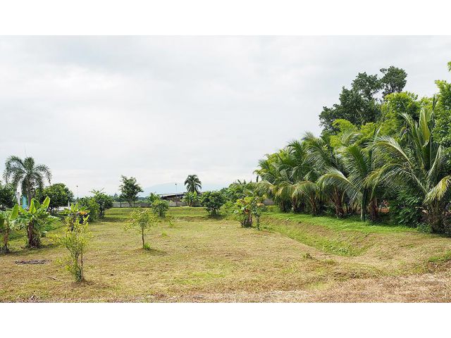 ขายที่ดินพร้อมสิ่งปลูกสร้าง ติดถนน 4 เลน เลี่ยงเมืองสันกำแพง ***เจ้าของขายเอง***