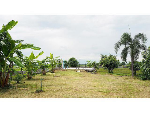 ขายที่ดินพร้อมสิ่งปลูกสร้าง ติดถนน 4 เลน เลี่ยงเมืองสันกำแพง ***เจ้าของขายเอง***