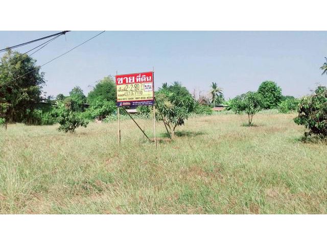 ขายที่ดิน 2-2-80 ไร่  ติดถนนหลักบ้านแก่ง-นครสวรรค์   เมืองนครสวรร