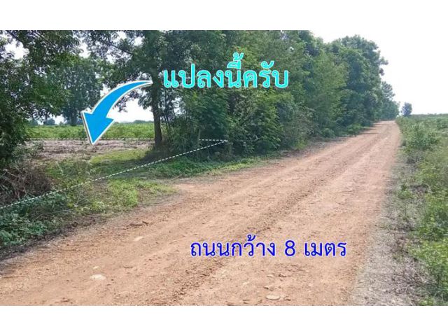 ที่ดินโฉนด 1 ไร่ 312 ตารางวา ยกแปลง แค่ 290,000 บาท  ==ที่ดินติดทางหลวงหมายเลข 4065 ใกล้ชิดธรรมชาติ เหมาะทำเกษตร