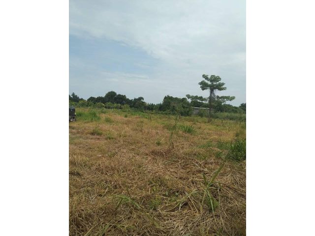 L1390 ขายที่ดินทำเลดี 2 ไร่ บ้านบึง ชลบุรี