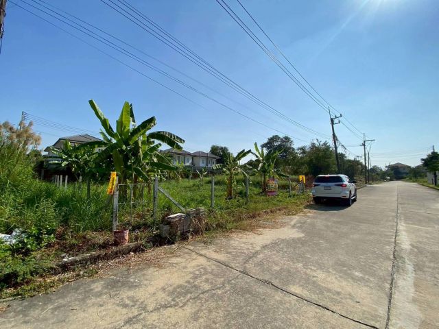 ขายต่ำกว่าประเมิน ที่ดินหมู่บ้านปาริชาต 76 ตรว ถมแล้วทั้งแปลง โซน A62/1 ถนน 345 อ.เมืองปทุมธานี จ.ปทุมธานี