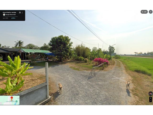 ขายบ้านพร้อมที่ดินเนื้อที่ 1-2-34.6ไร่ ต.ห้วยด้วน