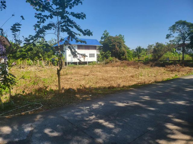 ที่ดินเปล่า​