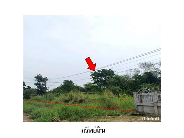 ขายที่ดินว่างเปล่า ถนน เศรษฐี ตำบล ชุมแพ อำเภอ ชุมแพ จังหวัด ขอนแ