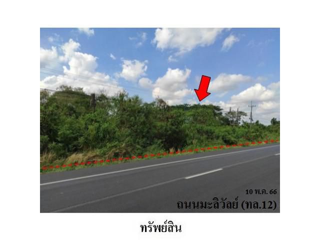 ขายที่ดินว่างเปล่า ถนน มะลิวัลย์ ต.ขัวเรียง อ.ชุมแพ จ.ขอนแก่น