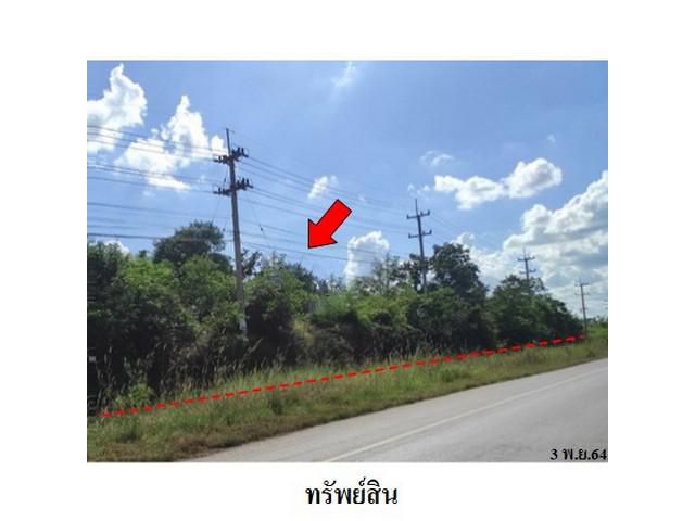 ขายที่ดินว่างเปล่า ถนน มะลิวัลย์ (ทล.12) ต.โนนอุดม อ.ชุมแพ จ.ขอนแ