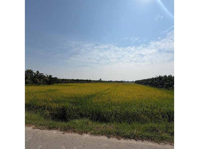 ขายที่ดิน ต.คูบัว อ.เมือง ต.ราชบุรี