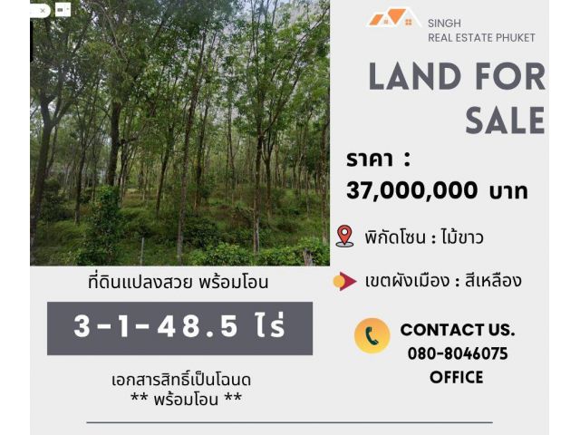 ** LAND FOR SALE ** ที่ดิน  ( สวนยางพารา )  3-1-48.5  ไร่  ( บ้านบ่อส้อม - ไม้ขาว )