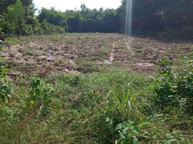 L1392 ขายที่ดินสวยทำเลดี 1 ไร่ เมืองอุบลราชธานี