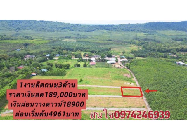 ขายที่ดิน1งานวิวเขาใหญ่เงินผ่อน/เงินสดราคา189,000บาทติดถนน3ด้าน ต แก่งดินสอ อ นาดี จ ปราจีนบุรี