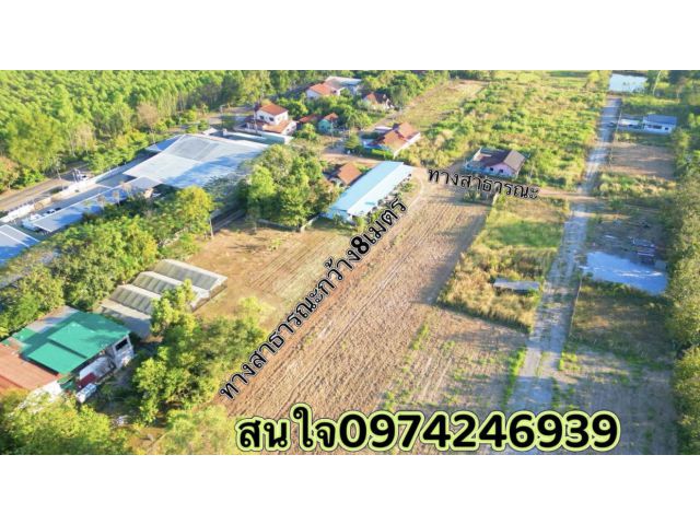 ขายที่ดิน1งานราคา269,000บาทเงินสด/เงินผ่อนใกล้นิคม304เพียง7กิโล ต ลาดตะเคียน อ กบินทร์บุรี จ ปราจีนบุรี
