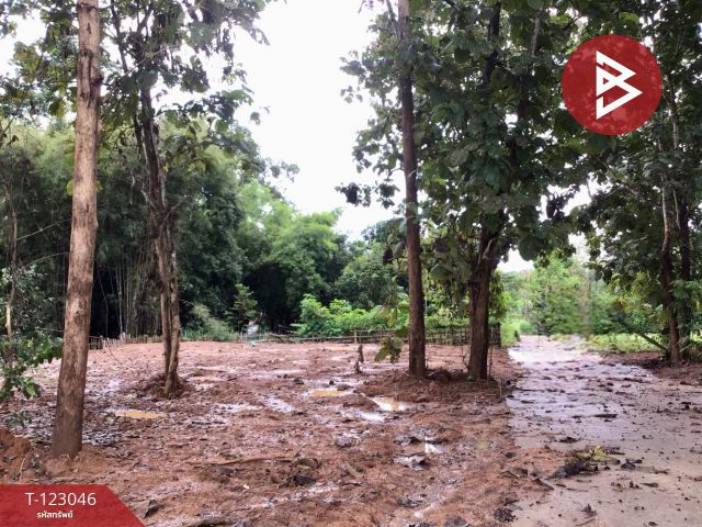 ขายที่ดิน เนื้อที่ 1 งาน 30 ตร.วา ต.ท่าเสา จ.อุตรดิตถ์ ทำเลดี ในเขตชุมชนใกล้ถนนตัดใหม่ โลตัส-ม่อนดินแดง