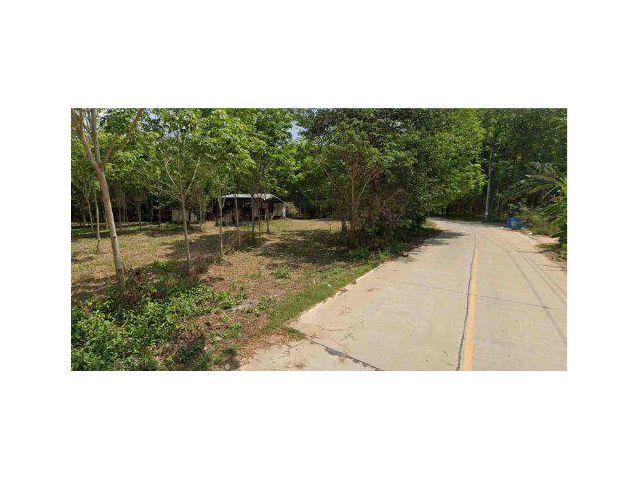 ขายที่ดิน สวนยาง 7 ไร่ ต.บ้านแลง อ.เมืองระยอง จ.ระยอง