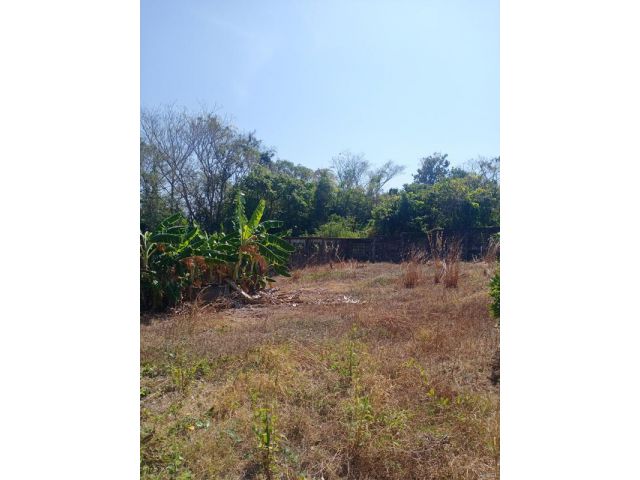 เสนอขายที่ดินแปลงเปล่า ทำเลดีใกล้มหาลัยราชภัฏรำไพพรรณี&สี่แยกไฟแดงเขาไร่ยา เนื้อที่ 100 ตารางวา ตำบลท่าช้าง อำเภอเมือง