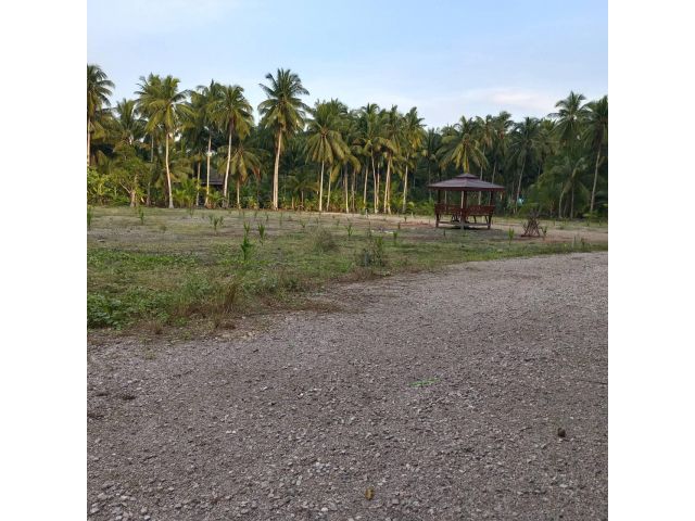 L1393 ขายที่ดินถมแล้ว แบ่งขาย เริ่มต้นที่ 80 ตรว อัมพวา สมุทรสงคราม