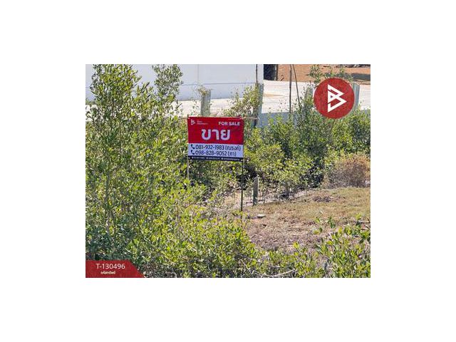 ขายที่ดิน เนื้อที่ 8 ไร่ 2 งาน 9 ตารางวา ชะอำ จ.เพชรบุรี