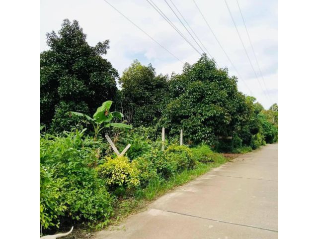 L1397 ขายที่ดินวิวภูเขา 3 ไร่ เมืองระยอง