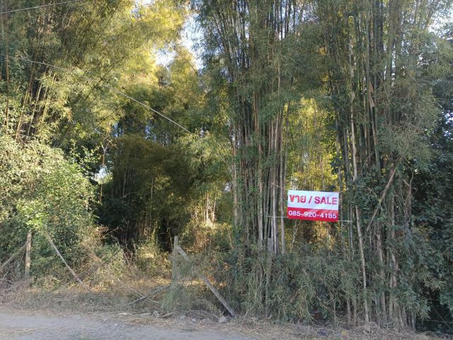 ขายที่ดิน79ตรว.