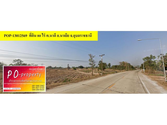 POP-13012569 #ขายที่ดินอุบล ที่ดิน 80 ไร่ ต.นาดี อ.นาเยีย จ.อุบลราชธานี