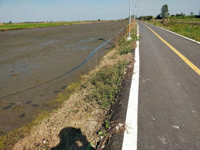 แบ่งขายที่ดินแปลงละ1-13ไร่ ไร่ละ290000-ติดทางหลวง+คลอง ต.สองพี่น้อง อ.สองพี่น้อง จ.สุพรรฯเหมาะทำบ้านพัก/บ้านสวนน้ำไม่ท่วมใก้ลตลาดบางลี่