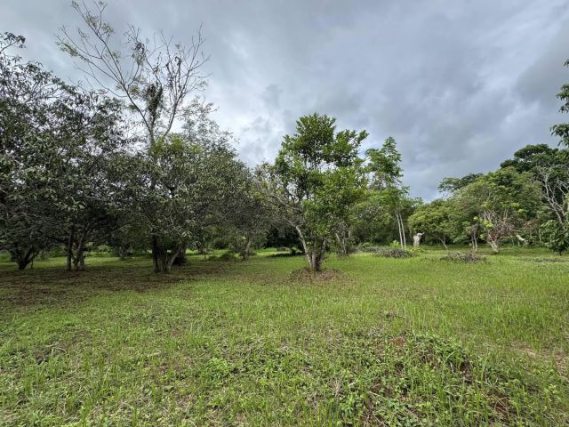 ขายที่ดิน 11 ไร่ เขาใหญ่ ติดถนนธนะรัชต์ ต.หมูสี อ.ปากช่อง จ.นครราชสีมา