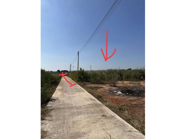 ขายที่ดิน102ว.800,000บ.ใกล้ถ.มิตรภาพ ต.บ้านโพธิ์ เมือง นครราชสีมา