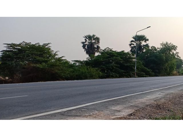 ขายที่ดิน 6 ไร่ ติดถนนบ้านปทุม ใกล้วัดถั่วทอง ใกล้ถนน 347 อ.สามโคก จ.ปทุมธานี