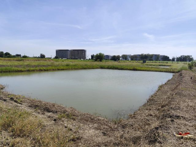 ขายที่ดิน วิวสวย มีบ่อน้ำ หรือสามารถเจรจาถมได้ แปลงห้าไร่ กำแพงแสน