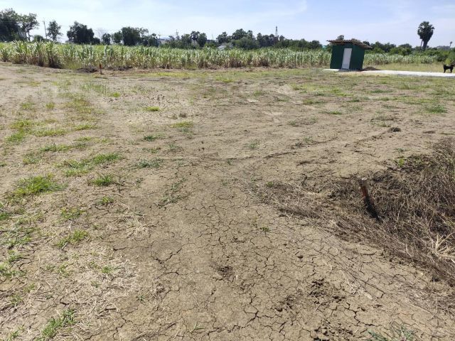 Vacant land for sale natural view can be subdivided or purchased as a whole (5-9 rai). Suitable for building a house or