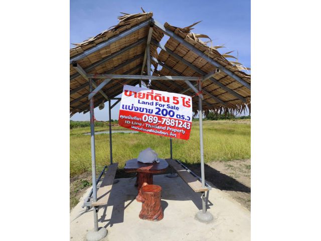 ขายที่ดิน กำแพงแสน นครปฐม แบ่งขายได้ มี  9 ไร่ ทำเลดี