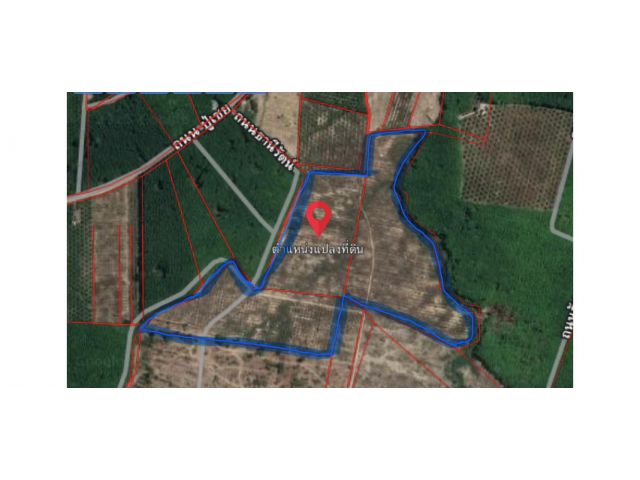 ขายที่ดินสวนยาง 92.5 ไร่