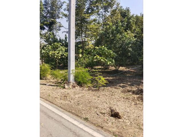 ที่ดินเปล่า ที่สวน