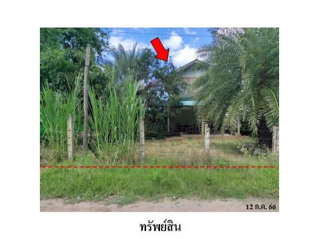 ขายบ้านเดี่ยว ถนน สายชุมแพ-ภูเขียว ชุมแพ จ.ขอนแก่น