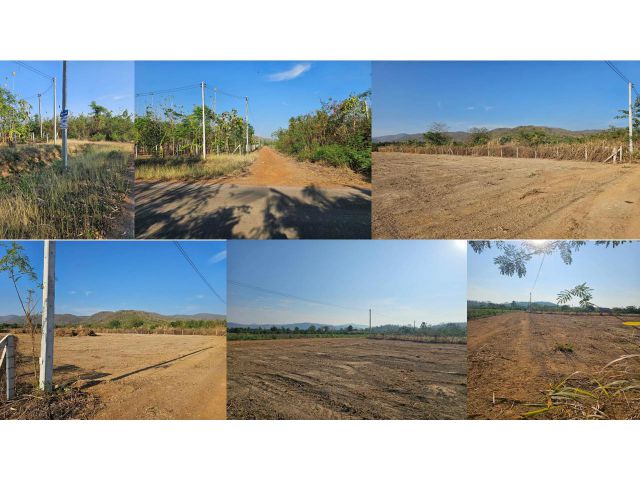 ขายที่ดิน 2 ไร่ ครุฑแดง วิวภูเขาล้อมรอบ มีเพื่อนบ้าน น้ำประปา-ไฟ้า-เน็ต ยกแปลง 815,000บาท (ฟรีล้อมรั้วลวดหนามพร้อมประตู+ถางเคลียร์หญ้า)