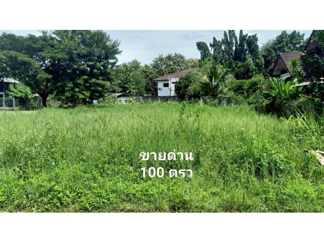 ขายที่ดินติดหมู่บ้านรุ่งอรุณใกล้ตลาดหางดงพร้อมโอน